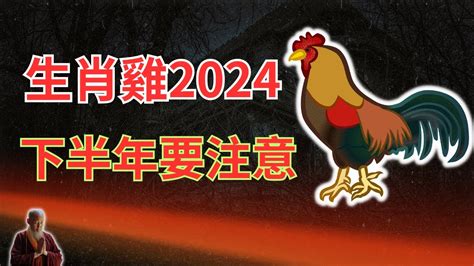 屬雞下半年運勢|2024下半年走大運！4生肖運勢崛起 屬雞「事業起飛黃。